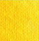 Cadmium Yellow Medium